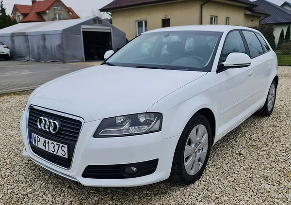 Audi A3 cena 26900 przebieg: 269000, rok produkcji 2010 z Płock małe 466